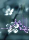 گداي فاطمه .س.